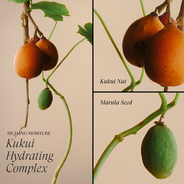 Moi Moi Hair Masque  Healing Moisture  Zeg dag tegen droog haar