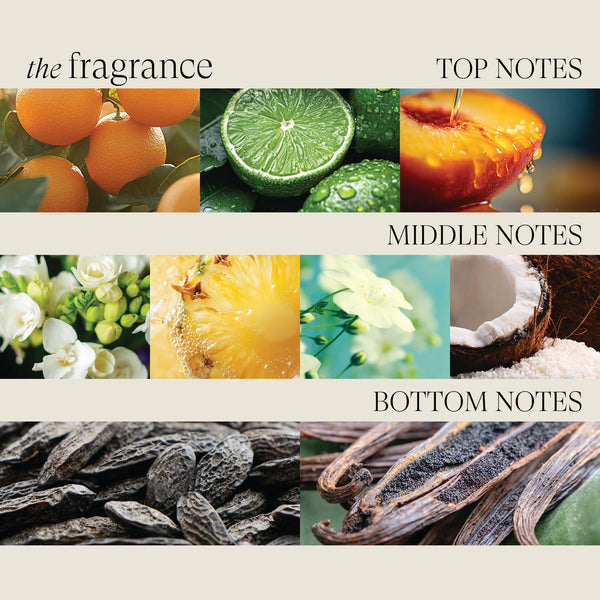 Moi Moi Hair Masque  Healing Moisture  Zeg dag tegen droog haar